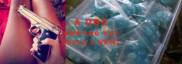 PSILOCYBIN Вязьма