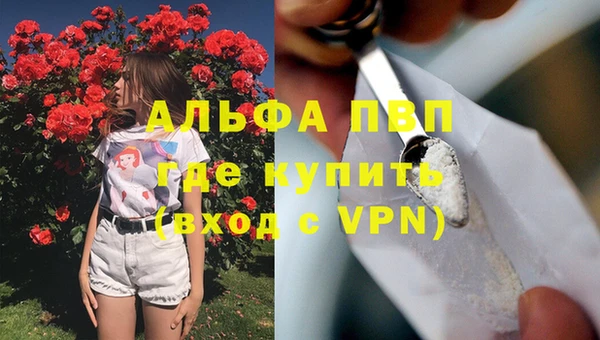 PSILOCYBIN Вязьма