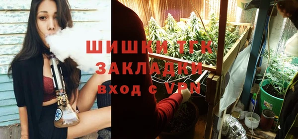 ALPHA-PVP Вяземский