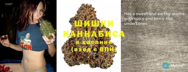 PSILOCYBIN Вязьма