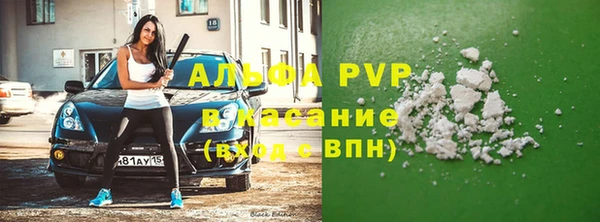 PSILOCYBIN Вязьма