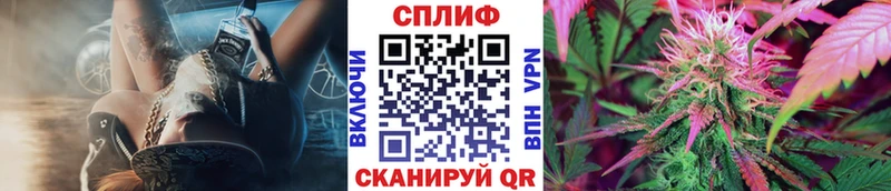 Конопля планчик  МЕГА как войти  это официальный сайт  Заполярный 